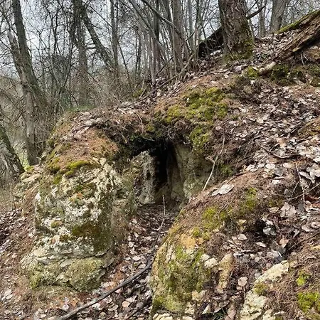 Charmant Duplex De 4p1/2 Dans Un Chalet De 1870 * Nax
